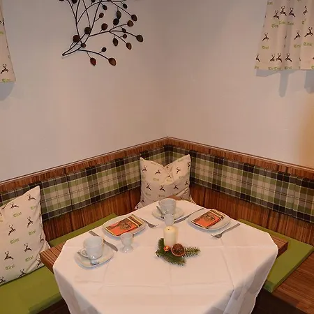 Apartmenthaus Bader Apartment Leutasch